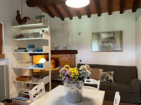 I Mandrioli, una casa immersa nella natura. Casale Marittimo